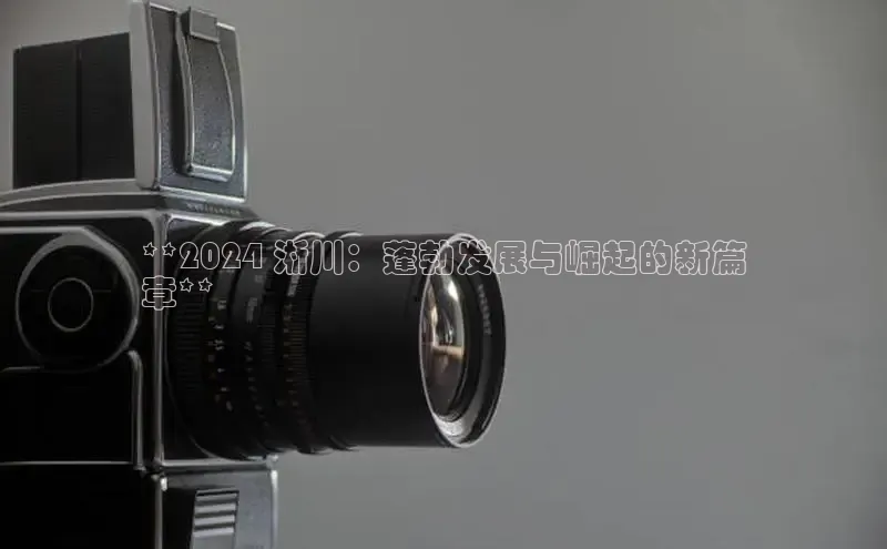 意昂体育4招商顺丰**2024 淅川：蓬勃发展与崛起的新篇
章**