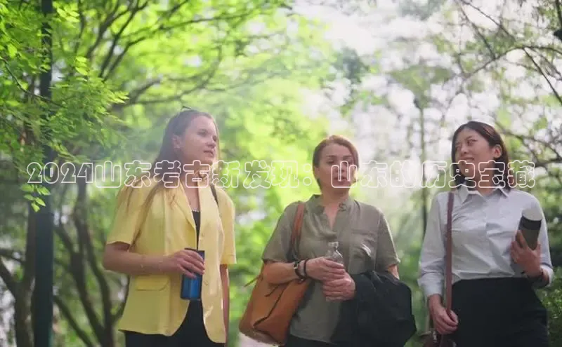 意昂4招商中文在线2024山东考古新发现：山东的历史宝藏