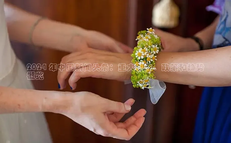 EON4登录天键股份2024 年中国新闻头条：重大事件、政策和趋势
概览