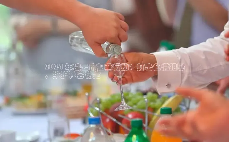 EON4招商百度网盘2024 年凌云市扫黄行动：打击色情犯罪
，维护社会稳定