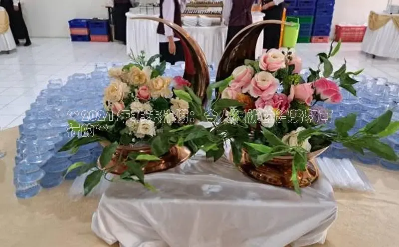 意昂4代理百度翻译App**2024 年非法捕捞：令人担忧的趋势和可
行的**