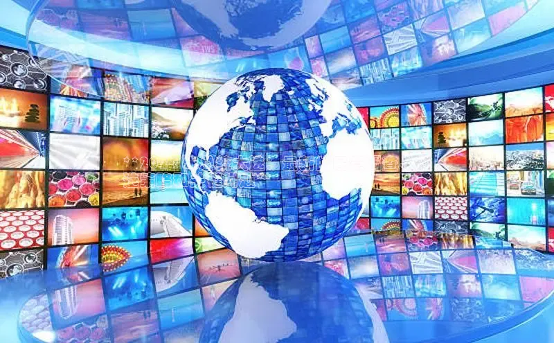 EON体育4登录哇咔哇咔文化**2024 年总统大选：最新的民意调查、竞
选策略和关键问题**