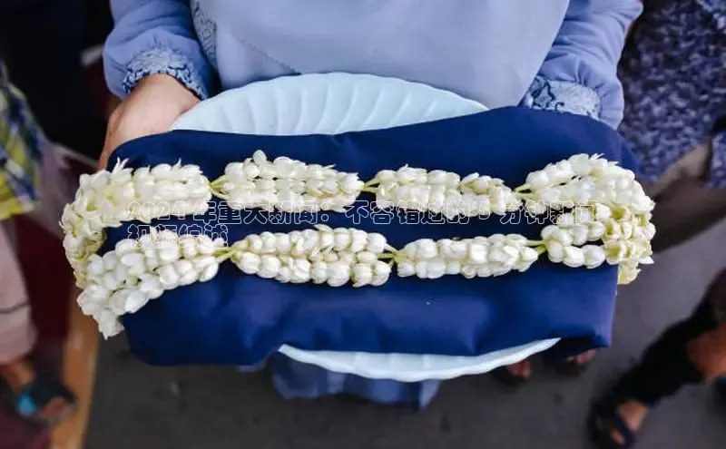 意昂体育4代理观星盘2024 年重大新闻：不容错过的 5 分钟新闻
视频综述