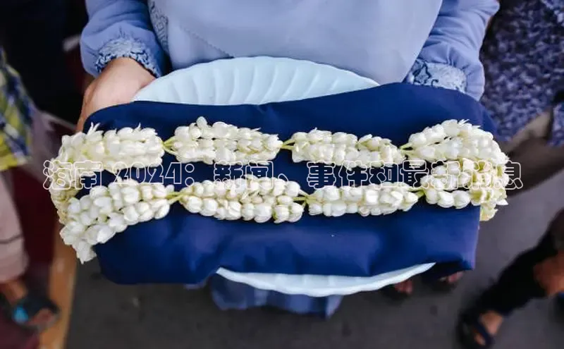 意昂体育4阿里尔公司海南 2024：新闻、事件和最新消息