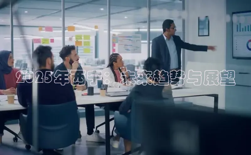 2025年西宁：未来趋势与展望