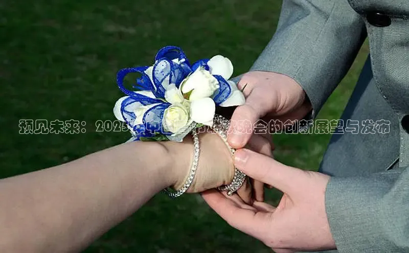 预见未来：2025年中国春节联欢晚会的创新展望与发布