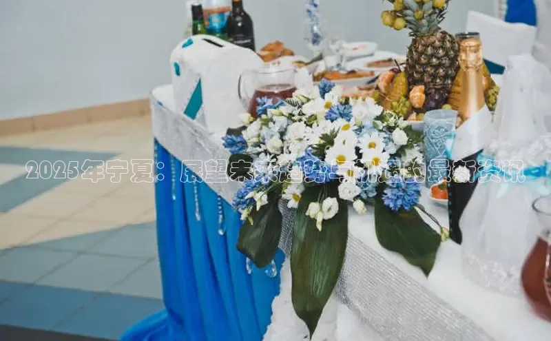 2025年宁夏：展望未来趋势与机遇的最新资讯