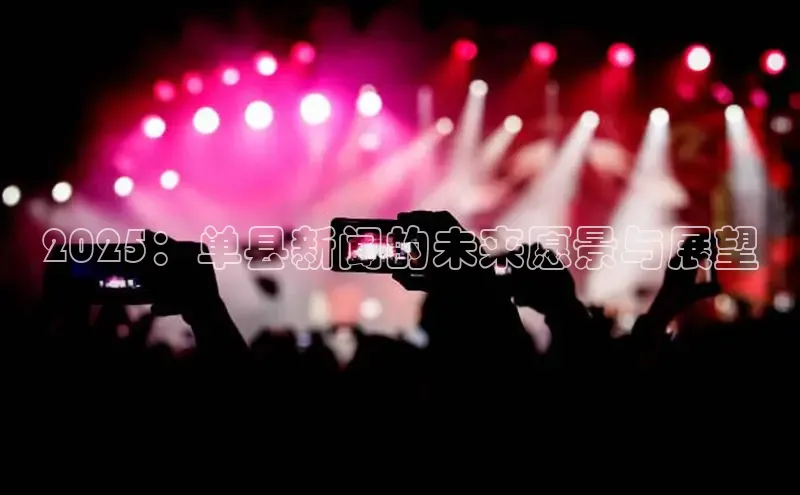 2025：单县新闻的未来愿景与展望