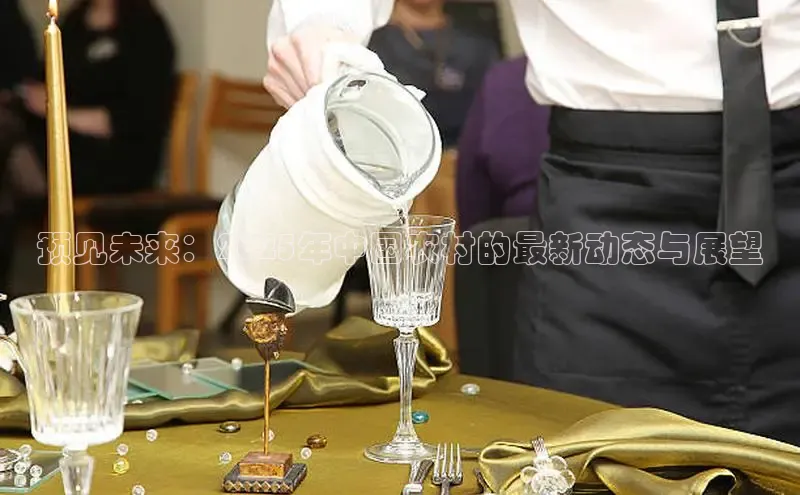 预见未来：2025年中国农村的最新动态与展望